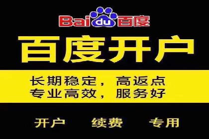 SEM优化师实战：助力企业实现低成本高回报